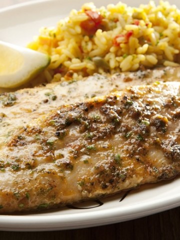 johndory (10)